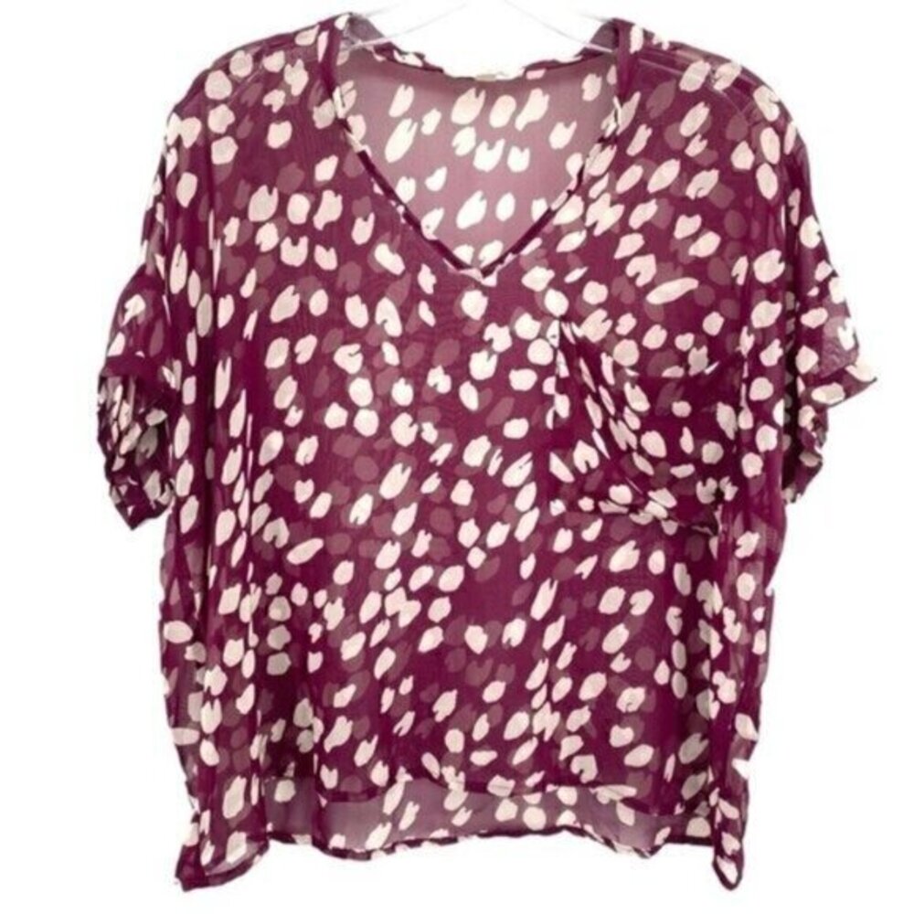 Lush Sheer Crop Top Blouse